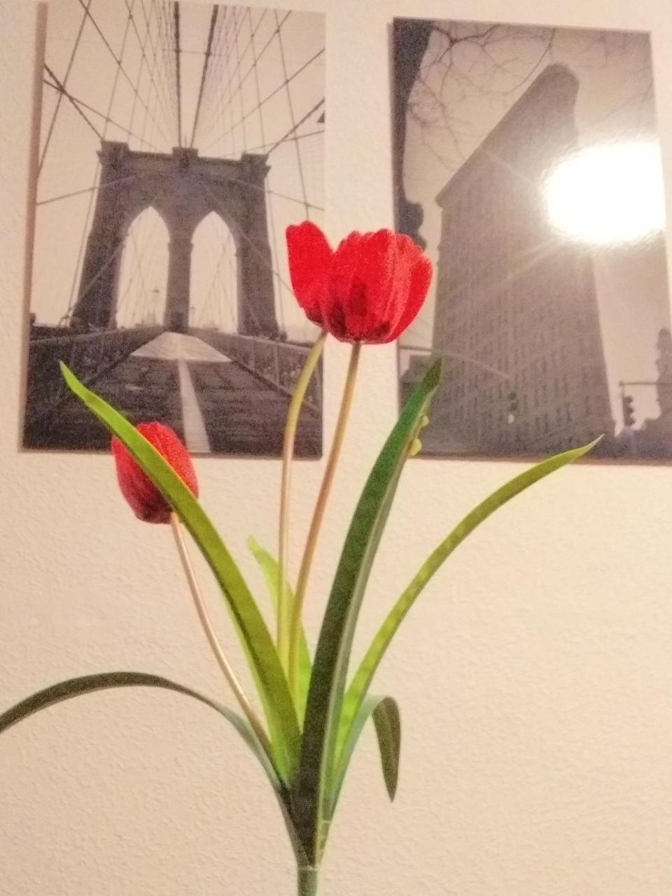 Vut El Greco Apartment Саламанка Екстериор снимка